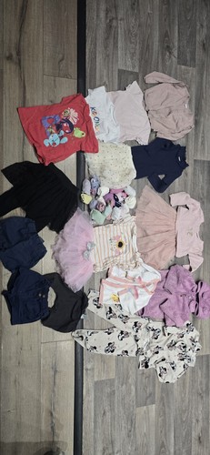 baby girl clothes bundle 12-18 months - Picture 1 of 15