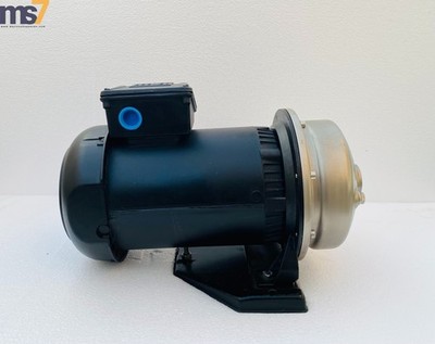 EBARA CDU70/3NB END SUCTION CENTRIFUGAL PUMP W/WEG 56J TEFC MOTOR HOBART #NEW-2