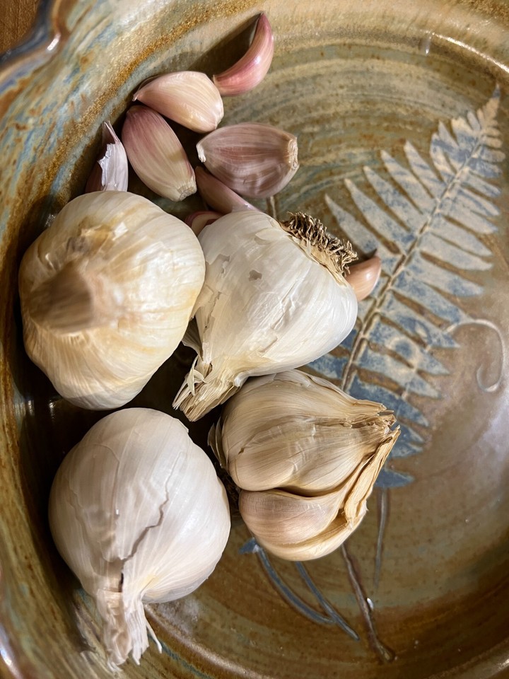 Non GMO Garlic Bulbs for Planting Or Eating 2 POUNDS | eBay
