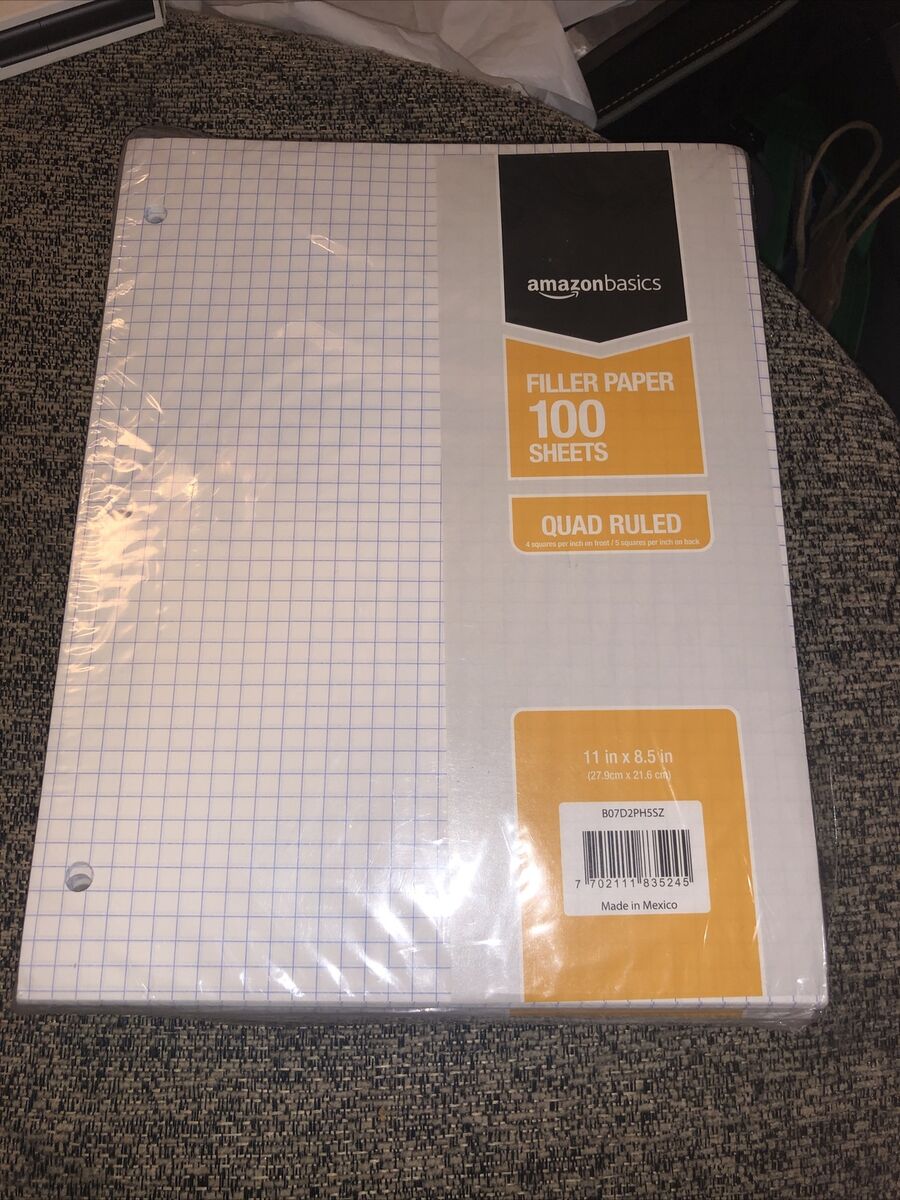 Basics Graph Ruled Loose Leaf Filler Paper 100 Sheet 11 x 8.5 Inch  Pack
