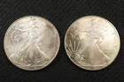 NobleSpirit (LG) Desirable American SILVER Eagle Pair 2002 GEM BU Toning