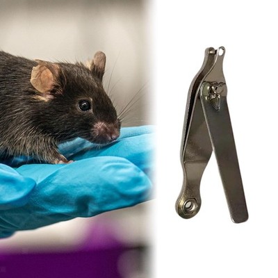 Puncher Tagger Tool 2mm Ohrhörer -Tags Werkzeug Zieh Ohrpunsch für kleine