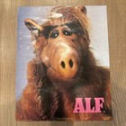 Official Alf Fan Club Poster 16 X 20 RARE Alien Life Form 1988 — photo 1