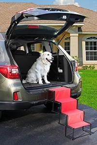 accordion pet steps
