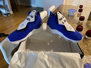 lebron 17 mtaa size 13