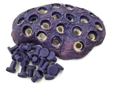 Coralline purple 20.0 FRAG STATION HUB Rock Reef plug live coral reef saltwater
