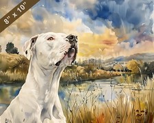 Dogo Argentino watercolor painting in a scenic countrysi 8x10 Print