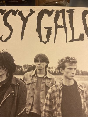 Pussy Galore- Groovy Hate - Vinyl LP Shove Records 1986 2013