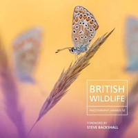 British Wildlife Photography Awards 12 | Will Nicholls | Buch | Englisch | 2024