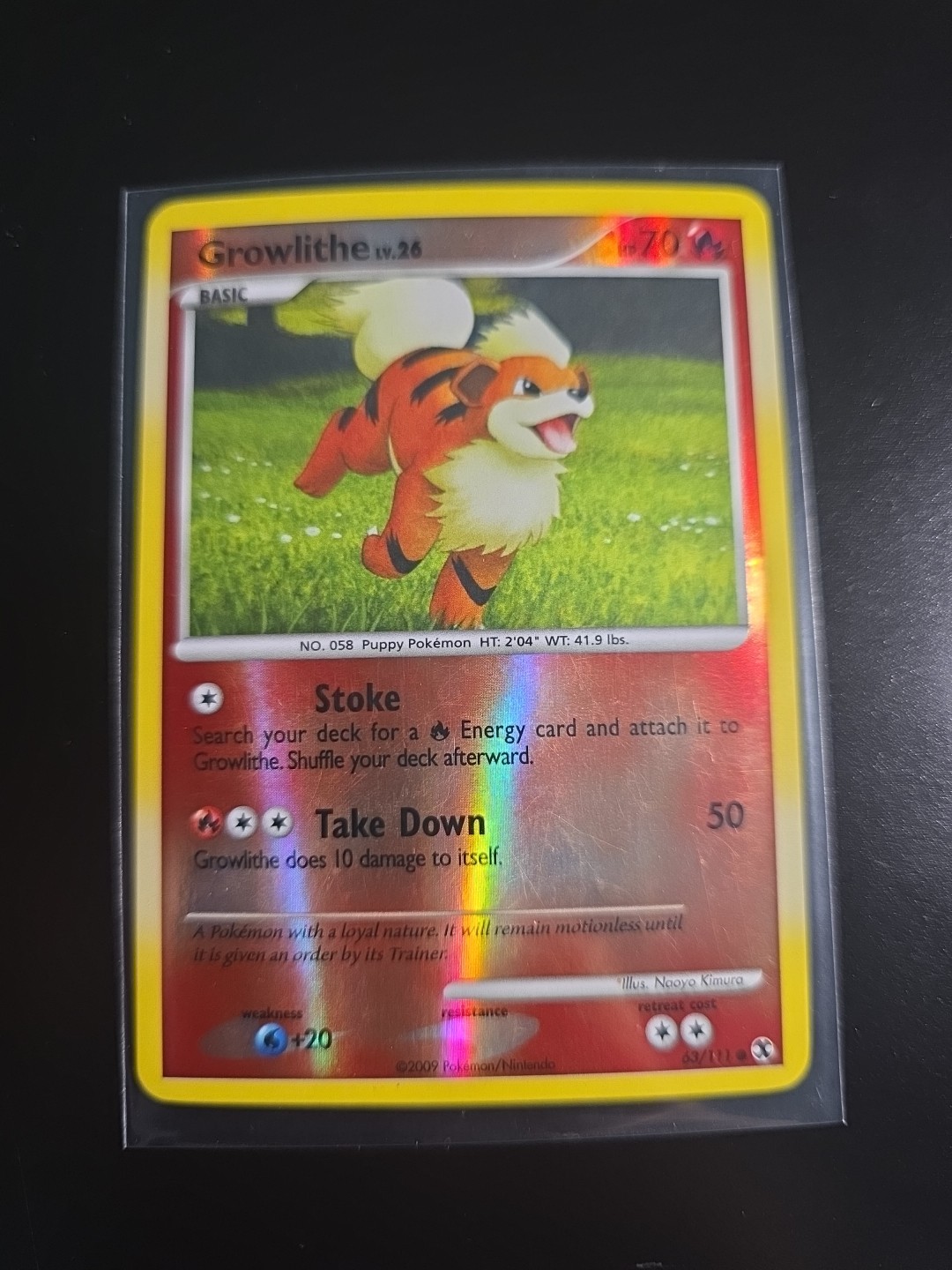 Growlithe 63/111 Rising Rivals Reverse Holo