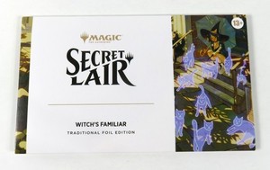Witch Familiars | eBay