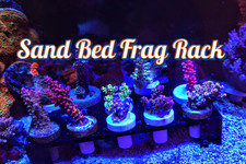 Coral Frag Rack Sand Bed Fragging Marine Reef Tank