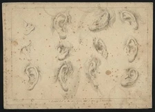 Sheet of ear studies / artist, Giovanni Battista Cipriani ; engraved by F.