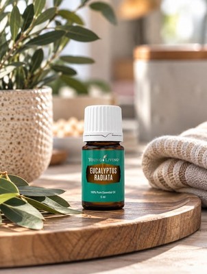  Eukalyptus Radiata Öl 5 ml Young Living Öl neu