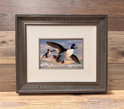 ORIGINAL Acrylic Painting by *Joe Hautman* 1995 Federal Duck Stamp Contest Entry