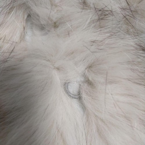 Blue fox real fur coat size L white brown rare SagaFox rich free ship from Japan - Picture 7 of 13