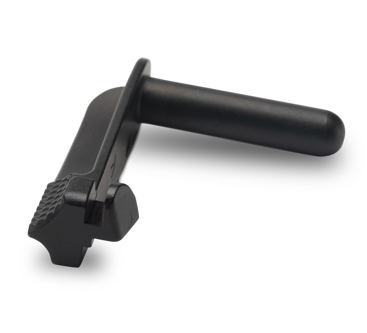 Pasalidognathus modestus　69mm 62mm s-l1200.jpg