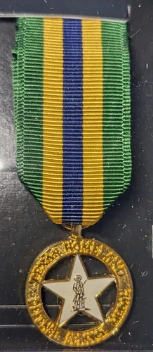 Texas National Guard - Miniature Texas Homeland Defense Service Medal - New