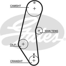 Courroie de distribution Lancia Y10