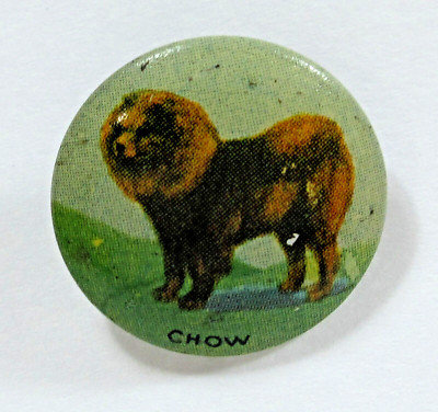 Vintage Chow Dog Pinback Button 1930s