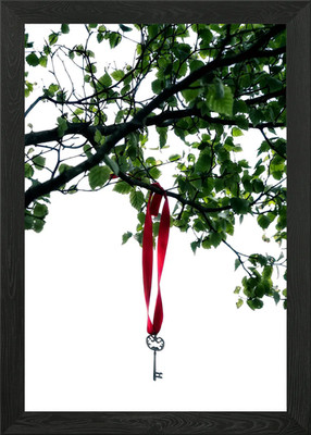Secret Key Gerahmtes Wandbild Poster Leinwanddruck Bild