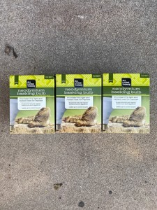 my labradoodle looks like a lab