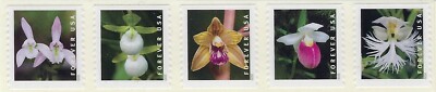 Scott #5439-5443 - Forever Wild Orchids - Coil strip of 5