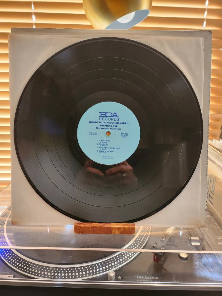 The Warren Experience, Sounds From Above Bermudas Hog Penny Pub, 1st Press, Rare Foto 3 de 4