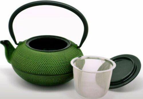 Nambu Tekki KYUSU Japanese Iron Tea Pot Green Traditional Modern Made in  Japan