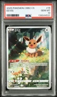 PSA 10 Pokemon TCG Chinese Horizon Gem Pack Vol2 Eevee CBB2C-01 15/15