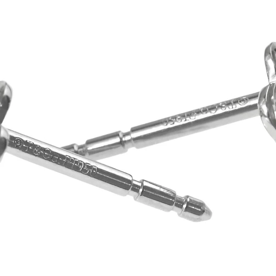 Tiffany & Co. Garten Blume Diamant Ohrringe Platin Damen Schmuck Accessoire