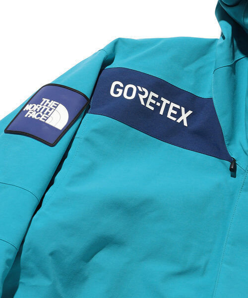 THE NORTH FACE Trans Antarctica Parka NP62238 GORE-TEX jade THE NORTH FACE Trans Antarctica Parka NP62238 GORE-TEX jade
