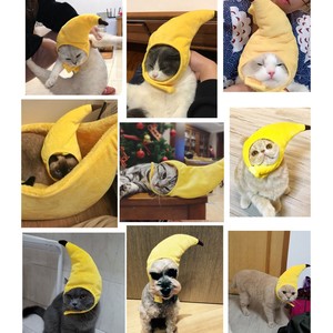 Immagini Divertenti Animali Natale.Divertente Copricapo Di Cani Gatto Per Il Costume Di Natale Di Halloween Ebay