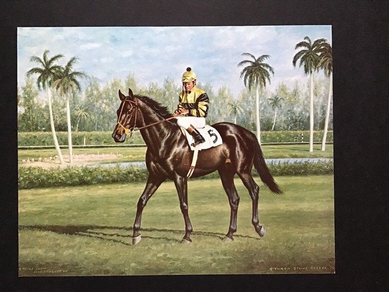 Seattle Slew Photo 15 X 12  1977 The Flamingo  Horse Racing  Hialeah Race Course