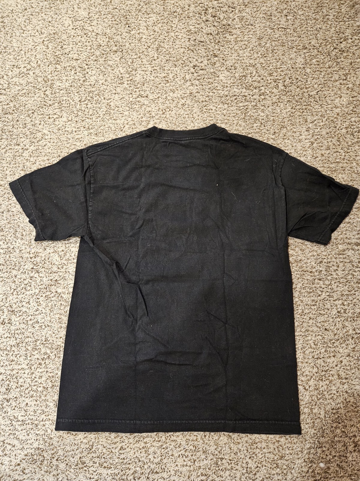 Buried Alive Band Shirt Vintage Victory Records Earth… Gem