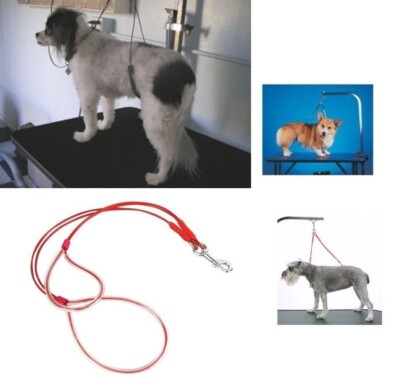 Classic NO SIT LIE DOWN Dog Grooming HEAVY DUTY BODY SUPPORT RESTRAINT System