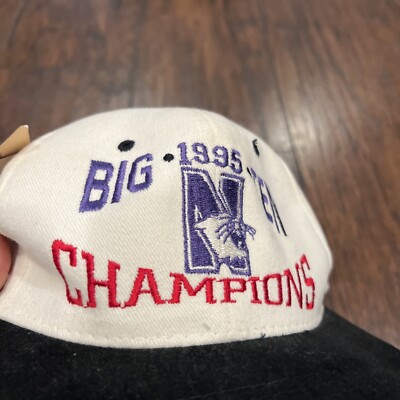 VINTAGE NCAA 1995 Big Ten CHAMPIONS SNAPBACK Wildcats ROSE BOWL