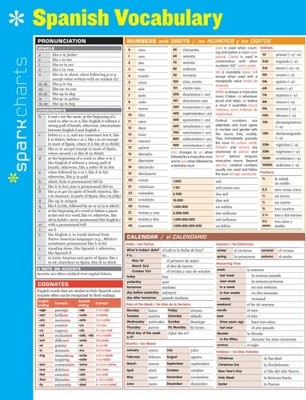 SPANISH VOCABULARY SPARKCHARTS By Sparknotes - Hardcover **BRAND NEW**