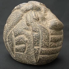 Pre-Columbian Moche Ceremonial Head Sculpture