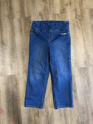 Gloria Vanderbilt Amanda Blue Jeans Slimming High Rise Classic Stretch Size 8