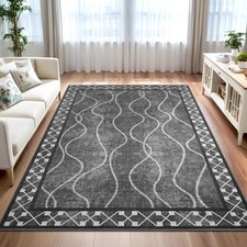5x7 Area Rugs for Living Room, Machine Washable Rugs, Non-Slip Low Pile Indoo...