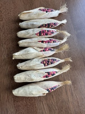 Longaberger Faux Mini Indian Corn - 8 Ears
