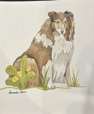 Shetland Sheepdog Original Watercolor by UK Artist Sandra Coen. 7 X 8