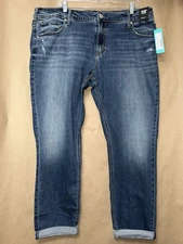 Silver Jeans Co Women's Boyfriend Jean 20W X 29