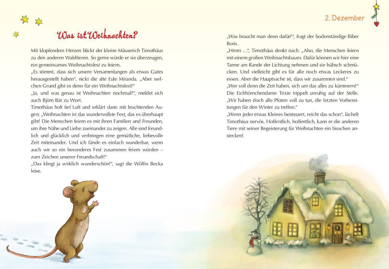 Thumbnail - Das Weihnachtsfest Der Tiere | Ein Adventskalenderbuch | Katharina