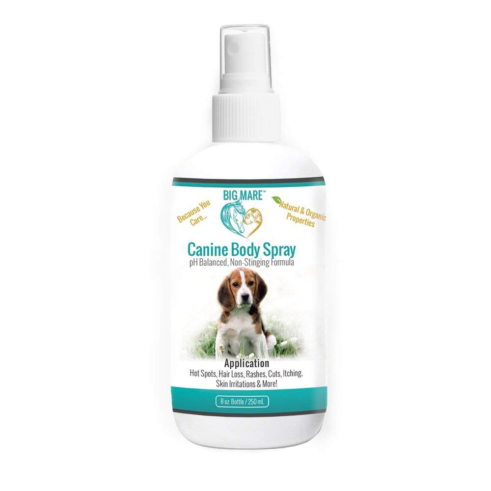 Dog Spray | Effective On Hotspots, Yeast, Dermatitis, Staph, Ringworm, Hair L...
