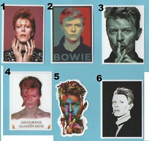 15997 David Bowie Hands on Hips Posing 70s Rock Music Alt Retro Sticker Decal