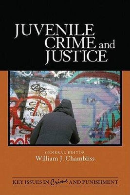 Juvenile Crime and Justice (Key Issues in Crime and Punishment) - GOOD