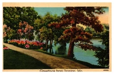 postcard greetings from Ironton Missouri old road-flowers-water 9282