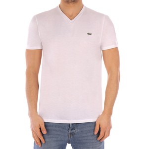 lacoste t shirt uomo